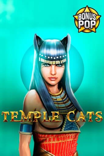 Демо игра Temple Cats играть онлайн | VAVADA Casino бесплатно
